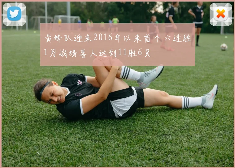 黄蜂队迎来2016年以来首个六连胜1月战绩喜人达到11胜6负